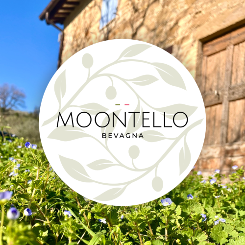 Website Moontello rond