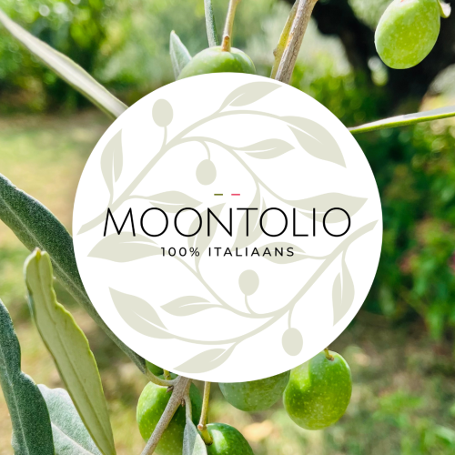Website Moontolio rond